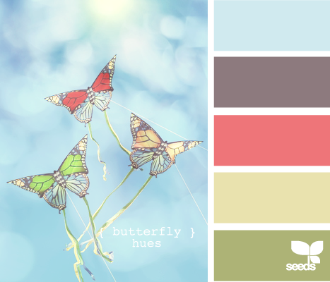 ButterflyHues610