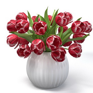 Red Tulips In The Vase.jpg16fd7ecc-b19c-4c11-919a-ead4b58ebdbfLarge_новый размер