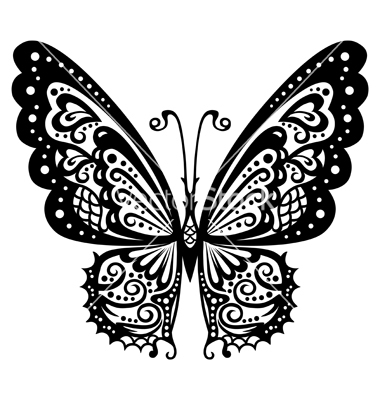 butterfly-vector-659266