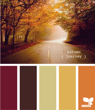 AutumnJourney605