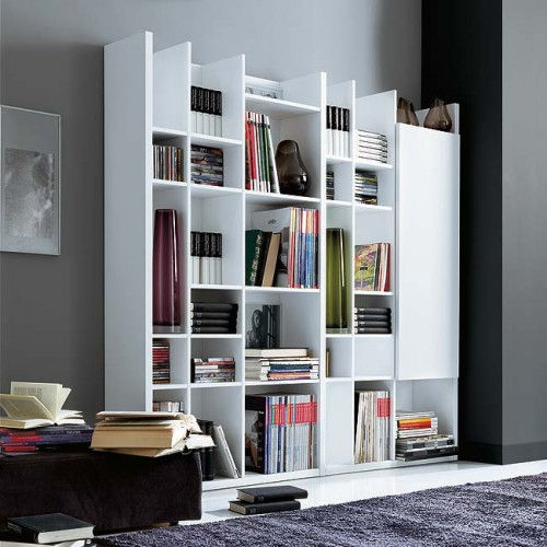 home-library-in-a-living-room-
