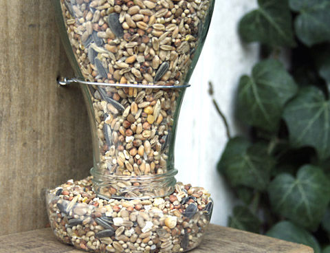 diy-bird-feed-from-recycled-bottle