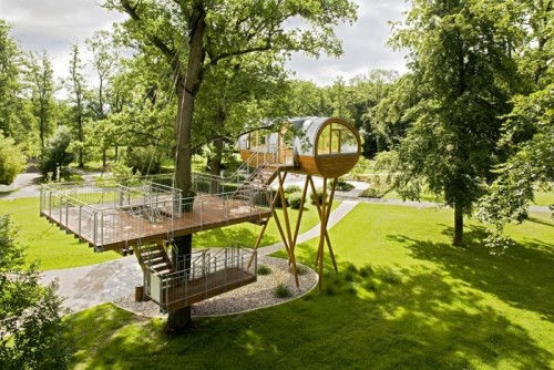 cool-treehouses