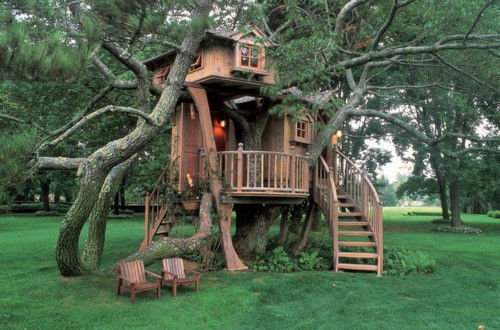 dream-tree-houses