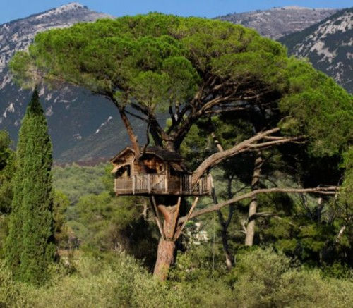 dream-tree-houses