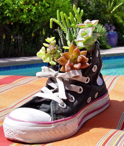 shoes-planter