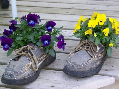 shoes-planter