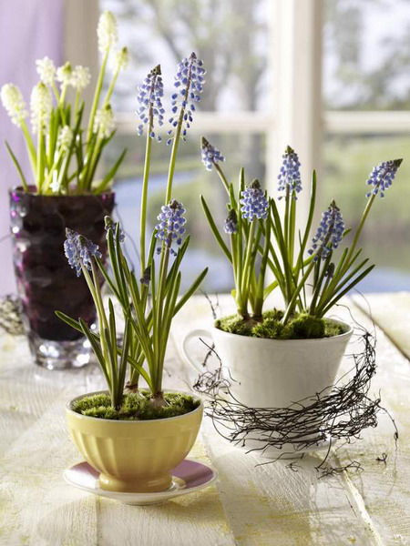 using-tableware-as-planters-and-vases