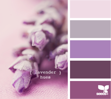 LavenderHues505