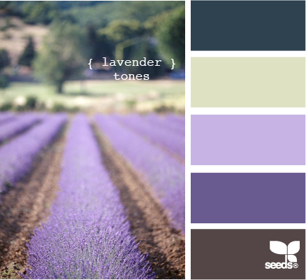 LavenderTones510