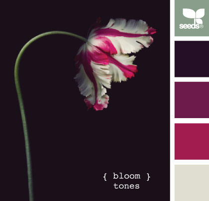 bloom_tones_1