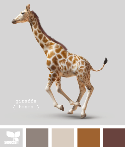 GiraffeTones510