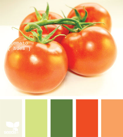 tomato_hues
