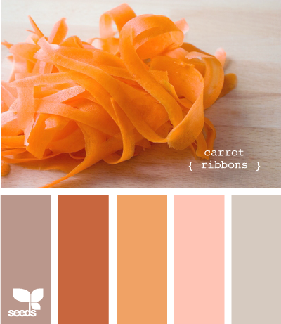 CarrotRibbons615