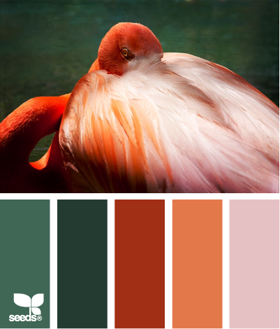 FlamingoPalette