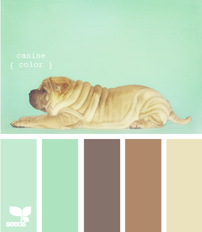 CanineColor615