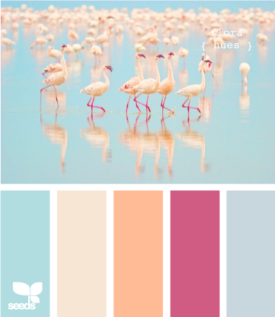 FlamingoHues605
