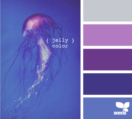 JellyColor615