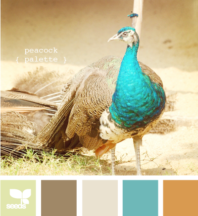 PeacockPalette610