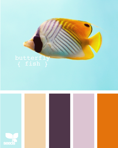 ButterflyFish620