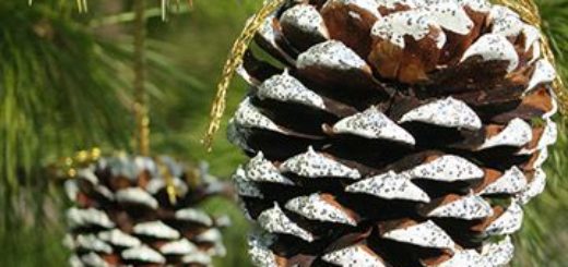 homemade-pinecone-ornaments