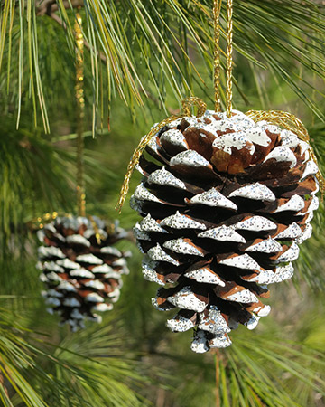 homemade-pinecone-ornaments