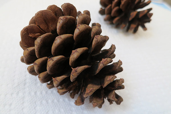 homemade-pinecone-ornaments1