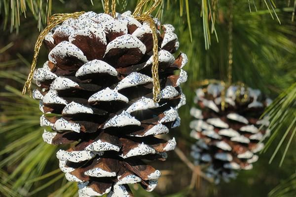 homemade-pinecone-ornaments6