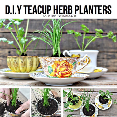 teacup-planters
