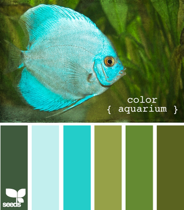 ColorAquarium625