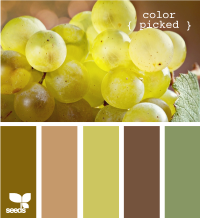 ColorPicked625