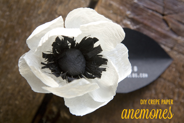 diy-paper-anemones-001