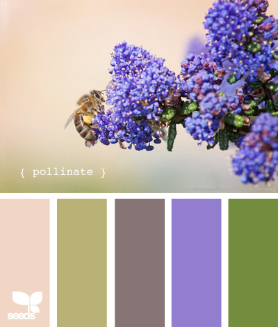 Pollinate625