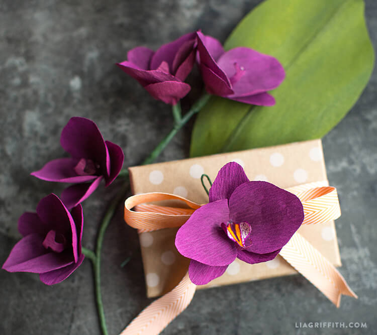 Double_Sided_Crepe_Orchid
